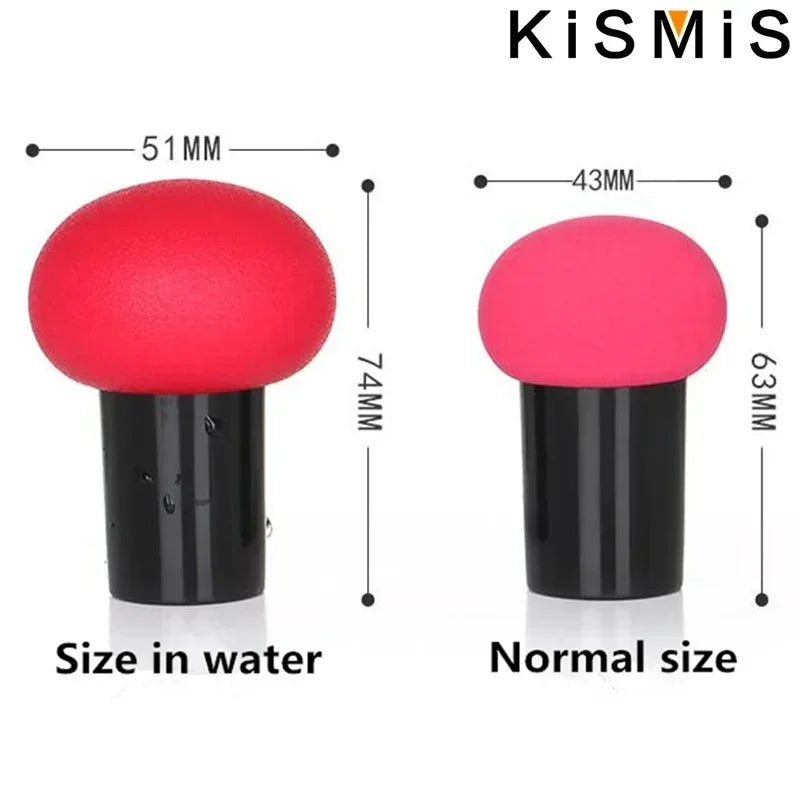 Flawless Makeup Sponge Set Multicolored Beauty Blending Sponges for Liquid Cream and Powder Perfect Makeup Tool