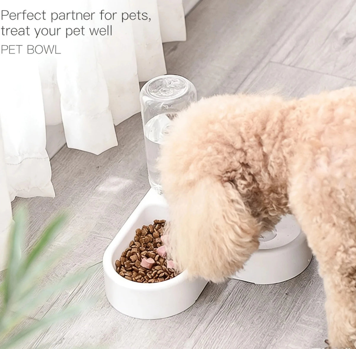 Double Pet Bowl Set - Food & Water for Cats & Small Dogs – photo 6