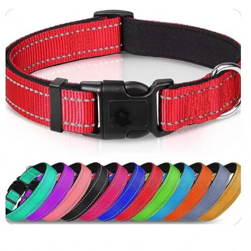 Breathable Neoprene Reflective Collar - Neck 25-60 cm