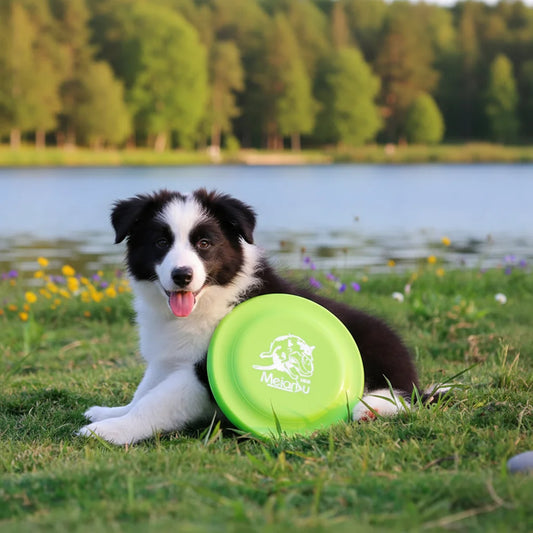 Dog Training Frisbee - Durable Round PE Catching Disc