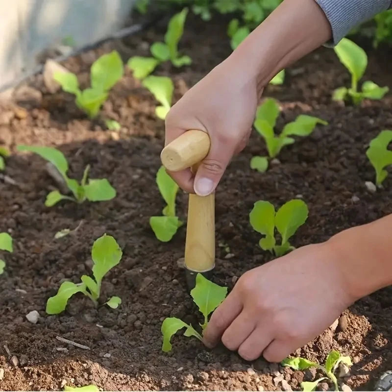 Hand Sow Dibbler With Wood Handle For Sowing Seeds Transplanting Plants Planting Bulbs Digging Gardening Garden Hole Punch Tool