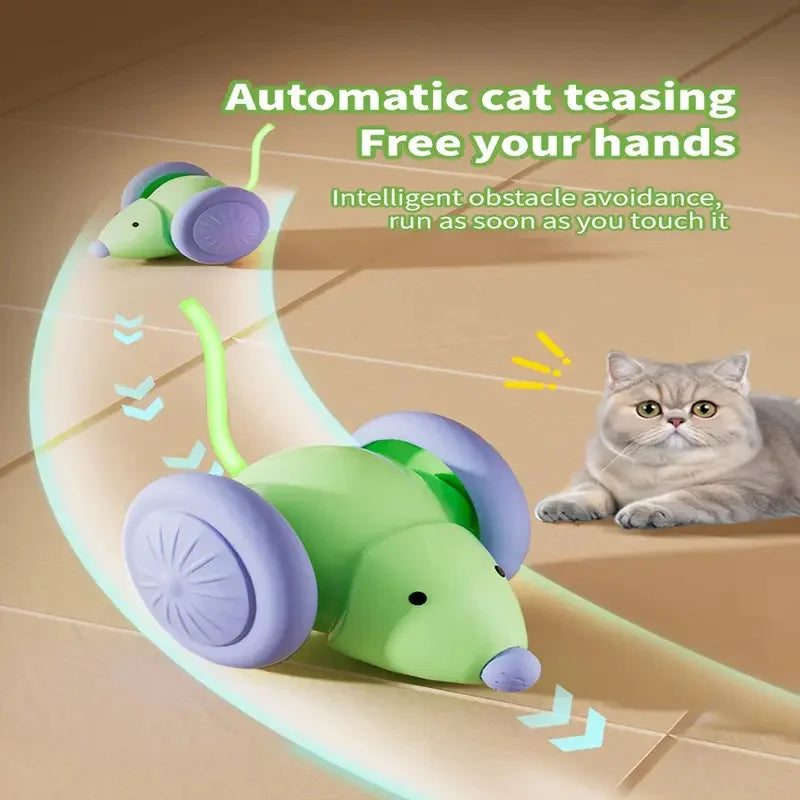 Smart Electric Rolling Cat Toy Ball – USB Rechargeable Automatic Interactive Teaser | Moving Bouncing Ball for Cats