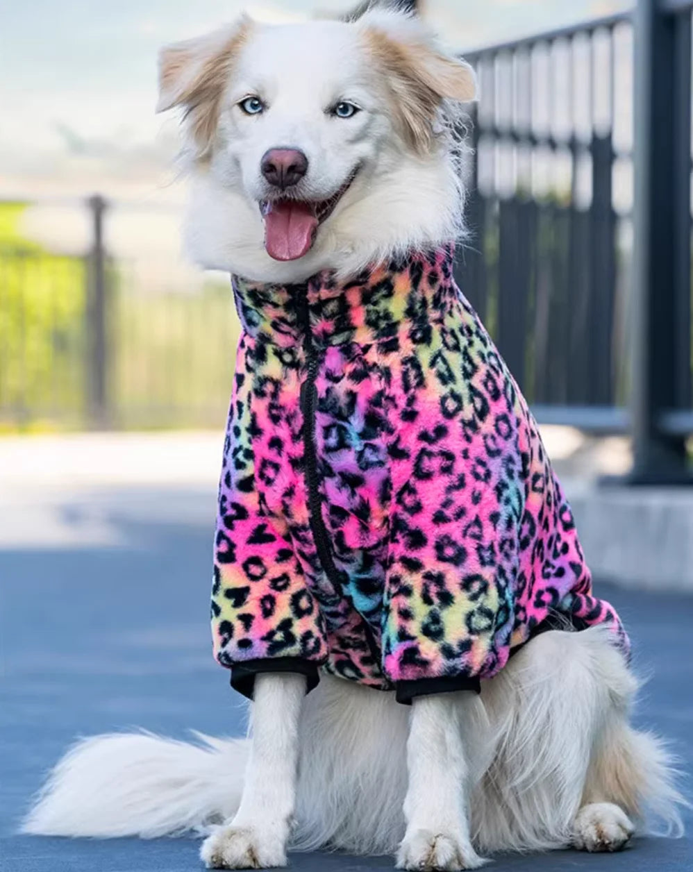 Large Breed Dog Winter Coat - Warm Padded Jacket for Big Dogs