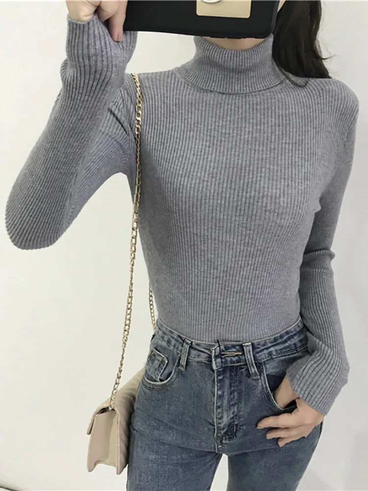 Women's Korean Turtleneck Sweater — Slim Knit Jumper