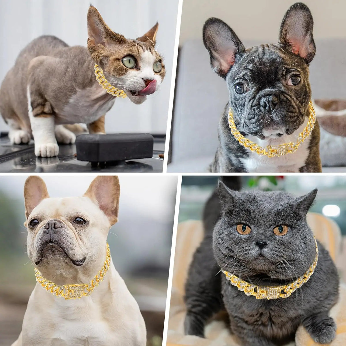 Gold Dog Chain Diamond Dog Collar Walking Metal Secure Buckle Pet Collar Jewelry Accessories Necklace for Small Medium Large Cat