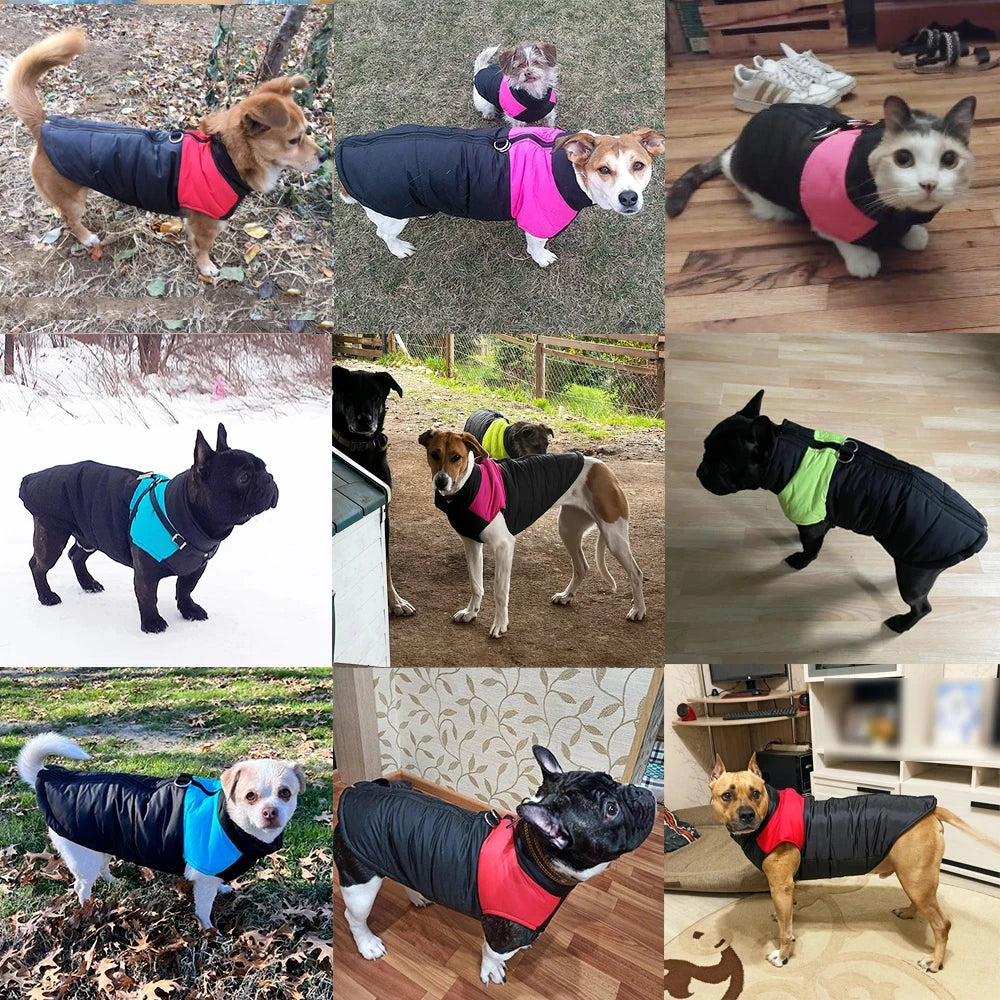 Autumn Winter Dog Jacket With D-ring For Small Large Dogs Cat Warm Waterproof Puppy Zipper Clothes Labrador Yorkies Pet Costumes