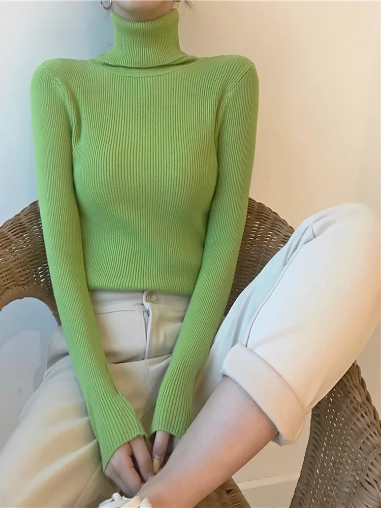 Women's Ribbed Turtleneck Sweater — Thick Knit Jumper