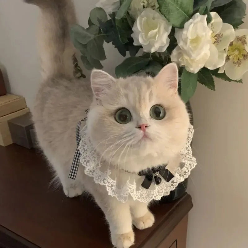 Cat Dog Collar Silk Wedding Cat Puppy Ribbon Scarf Princess Style Lace Collar Bell Necklace Bib New Kitten Accessories Bowtie