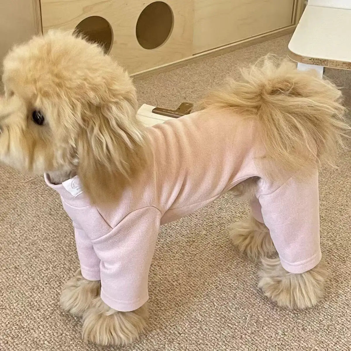Soft Stretchy Dog Pajamas - Small & Medium Dogs – photo 5