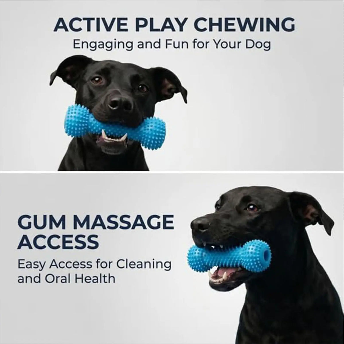 Double-Action Rubber Dog Chew - Teeth Cleaning Toy – photo 3
