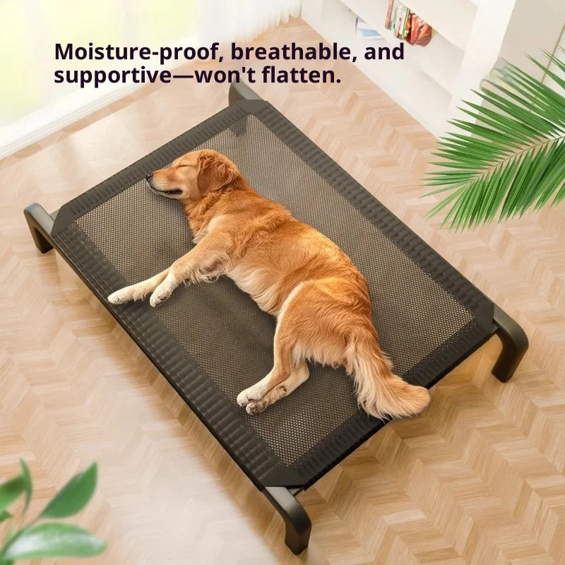 All-Season Elevated Pet Bed - Moisture-Proof Raised Cot – photo 2