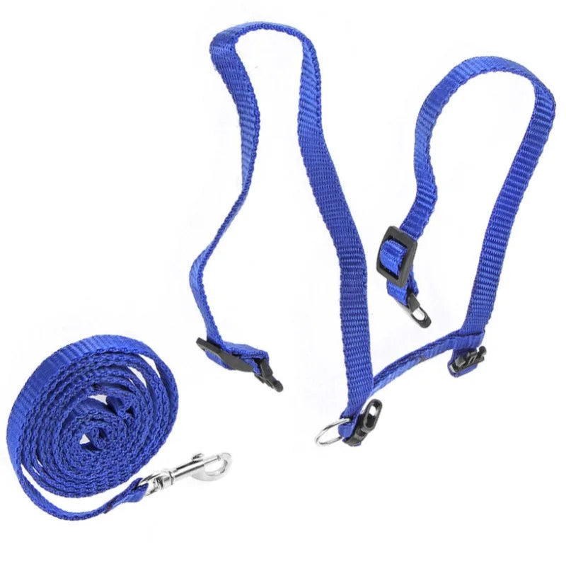 Cat Harness and Leash Adjustable Halter Harness with Nylon Strap, Safety Rope Leads for Kittens Comfortable Escape-Proof Design