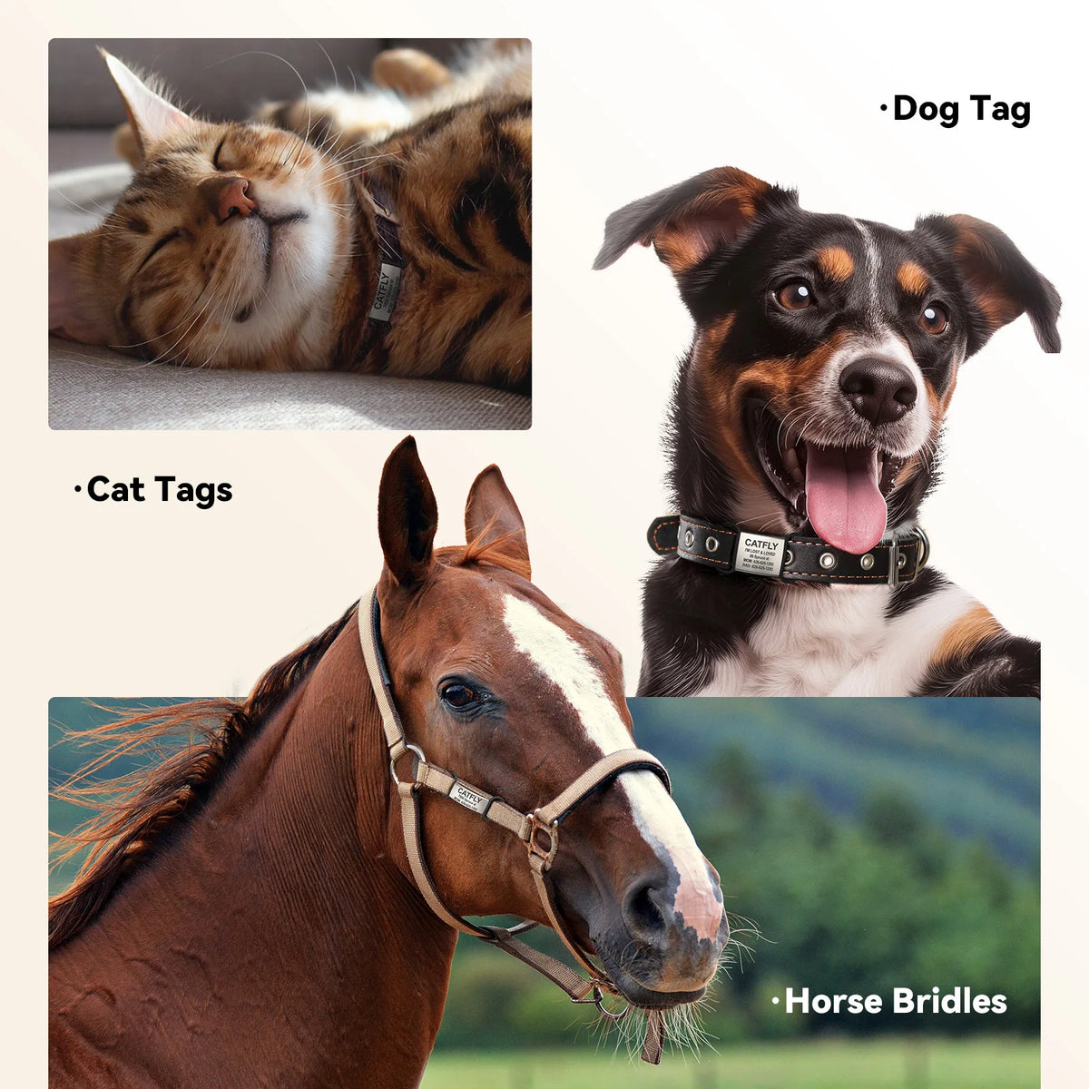 Silent Slide-On Pet ID Tag - Noiseless Engraved Collar Tag – photo 5