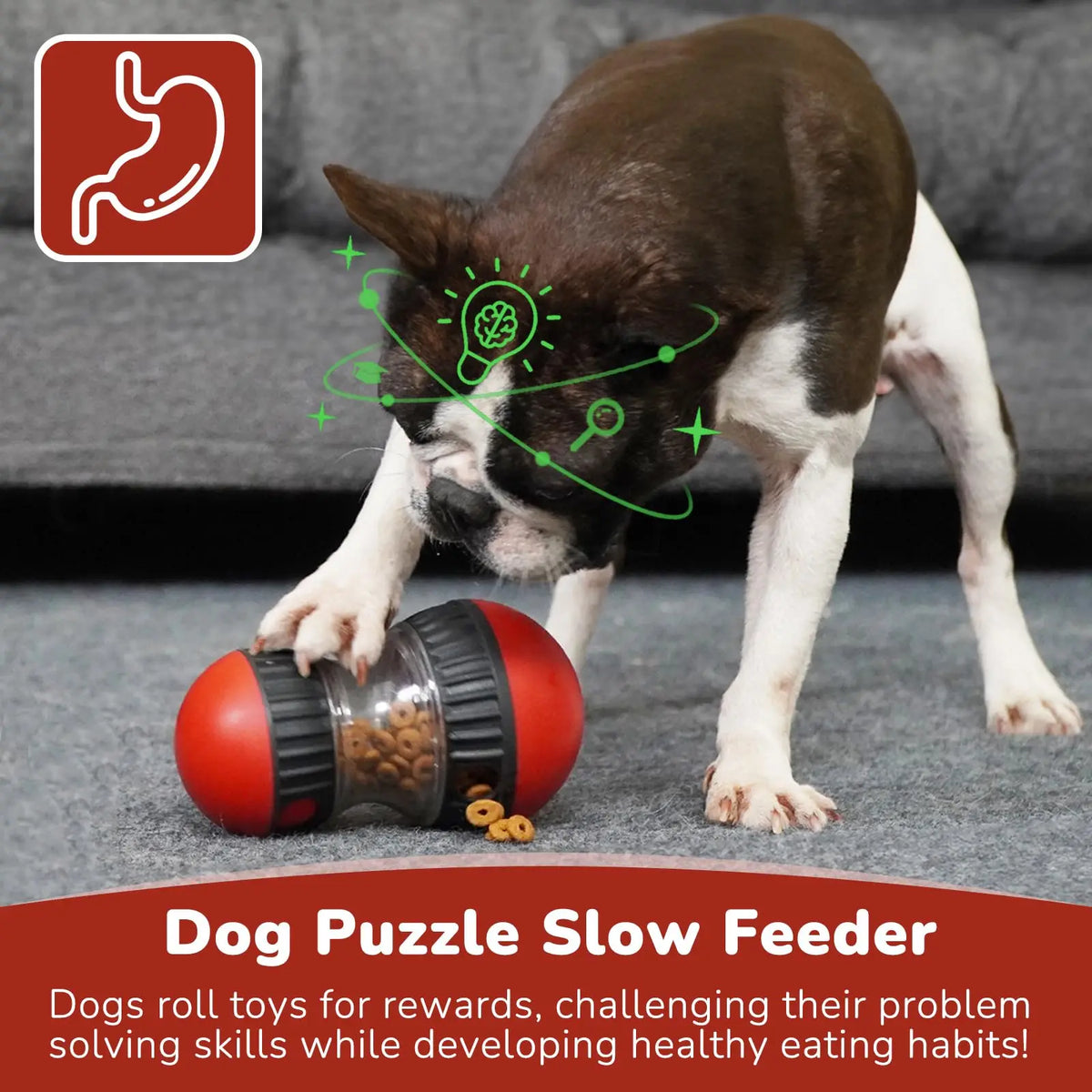 Rolling Track Dog Puzzle Ball - Treat-Dispensing Brain Game – photo 5