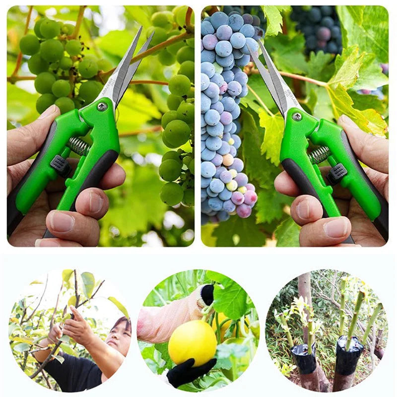 Garden Pruning Scissors — Stainless Steel Bonsai & Flower Shears