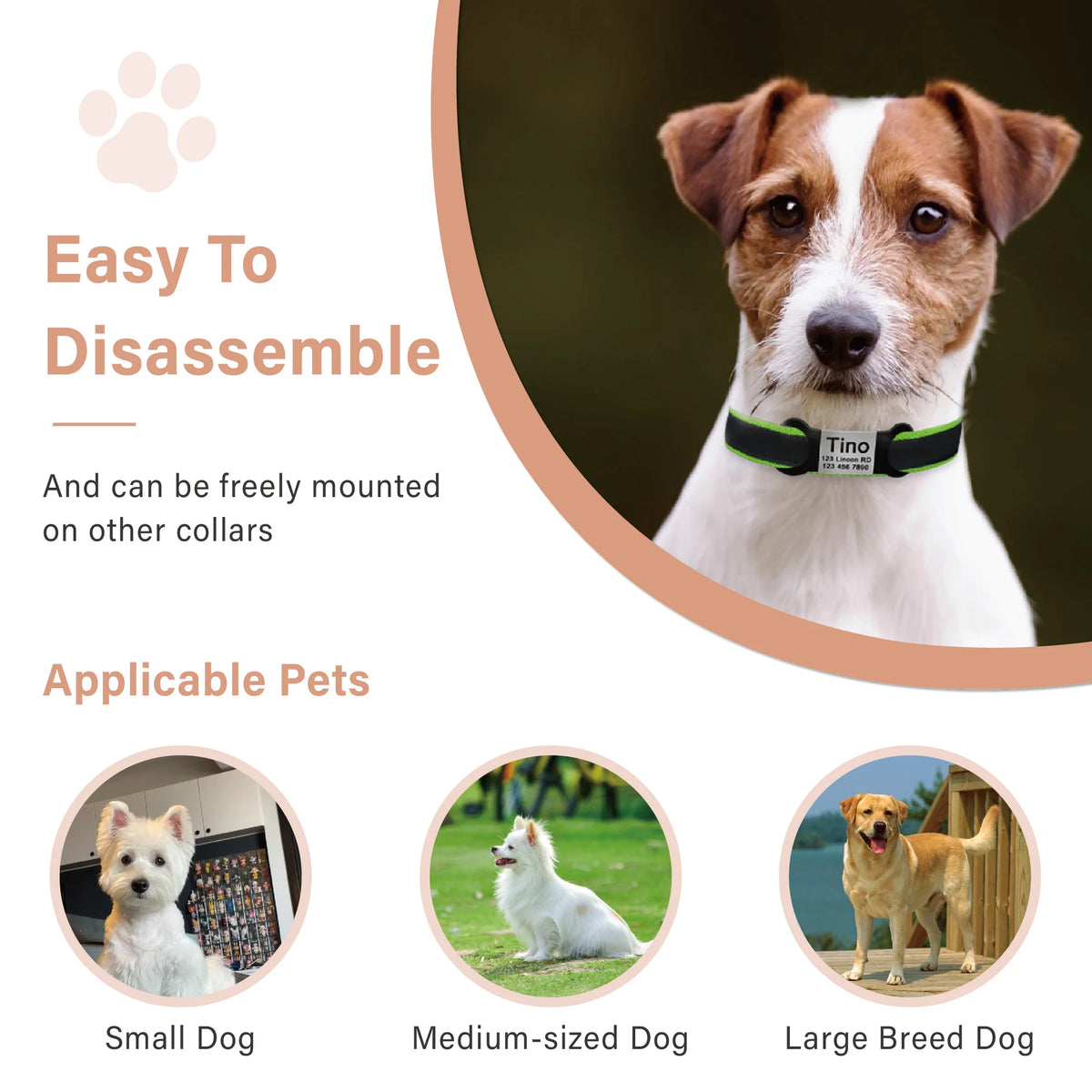 Engraved Pet ID Tag - Stainless Steel Name & Phone Nameplate – photo 5
