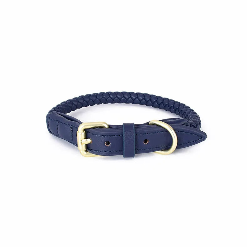 Braided Dog Leash & Collar - Adjustable Walking Rope for Small Dogs - photo 8