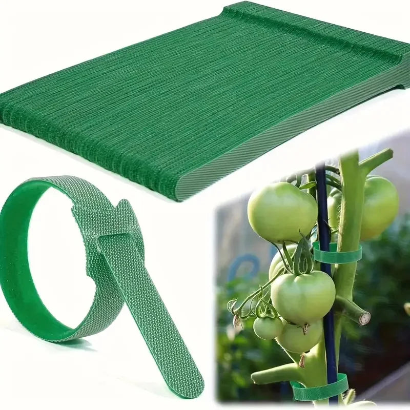 Reusable Nylon Plant Ties – Adjustable Non-Slip Supports for Climbing Plants & Gardening (50/100 Pack)
