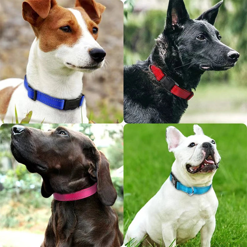 Soft Neoprene Padded Reflective Collar - Large Dogs – photo 6