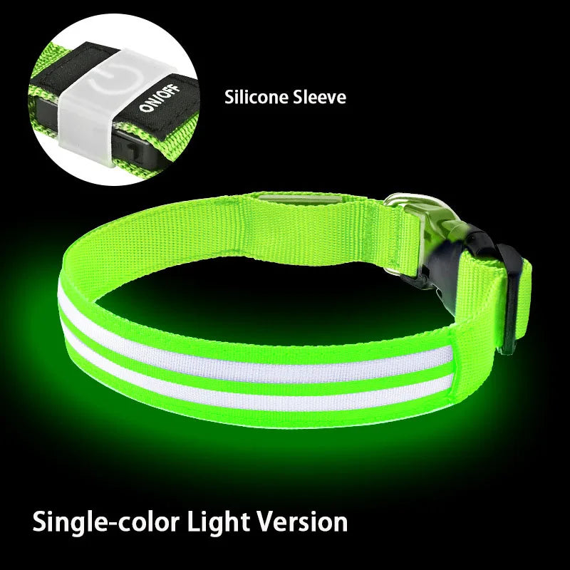 LED Light Up Dog Collar – Rechargeable Glowing Safety Collar for Night Walks | Color LED Pet Necklace with Harness & Leash Ring