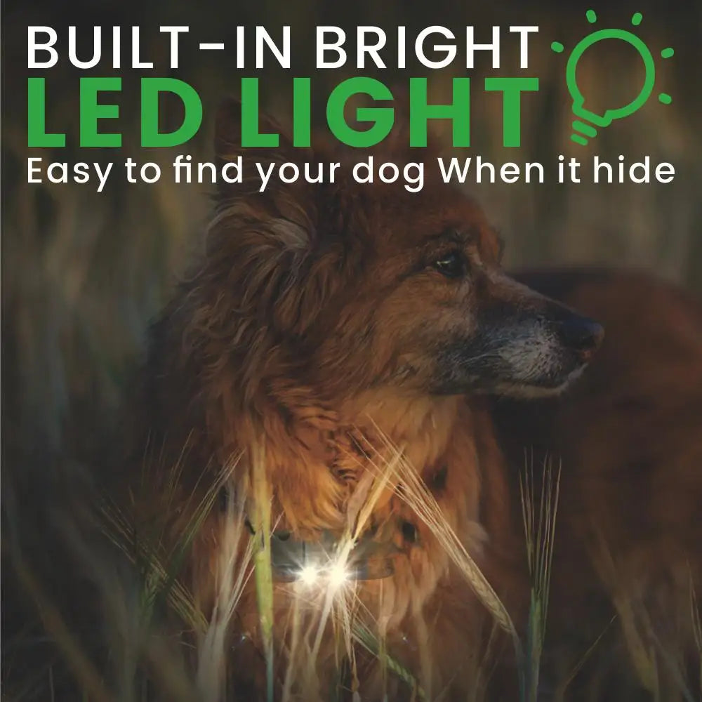 Electric Waterproof Dog Training Collar – Rechargeable Remote Anti-Bark Device | For 1, 2 or 3 Dogs