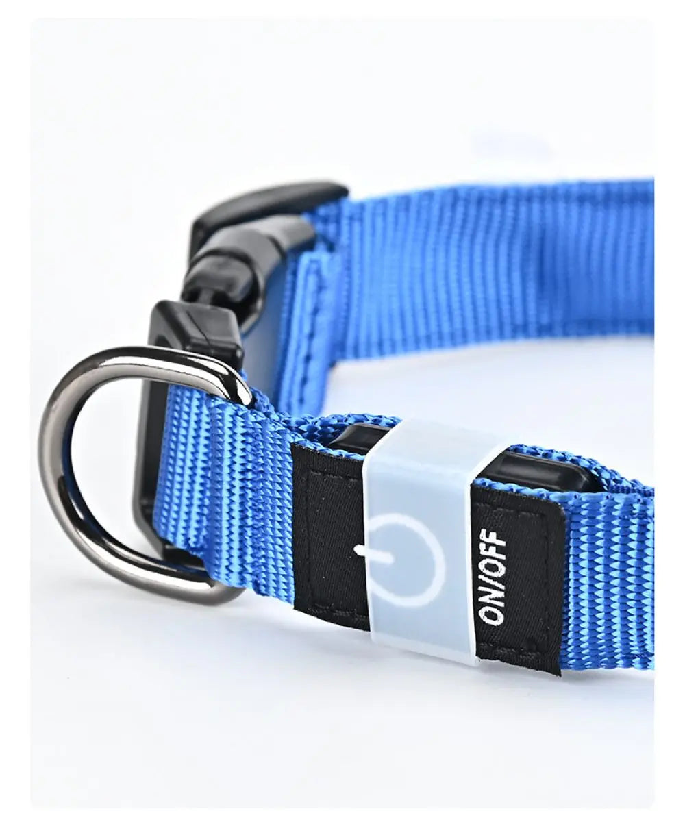 LED Light Up Dog Collar – Rechargeable Glowing Safety Collar for Night Walks | Color LED Pet Necklace with Harness & Leash Ring