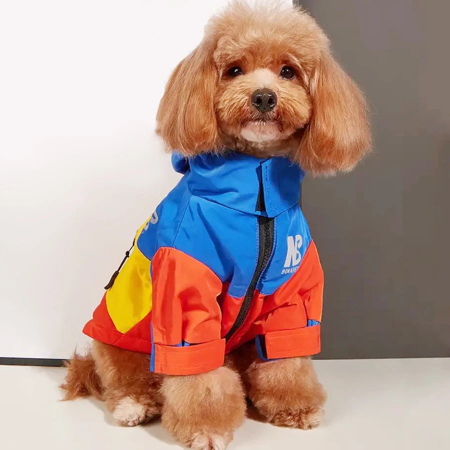 Hooded Dog Raincoat - Sporty Pet Jacket for Dogs and Cats