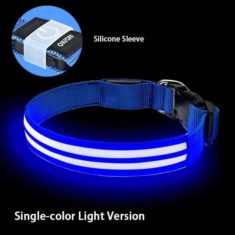 LED Light Up Dog Collar – Rechargeable Glowing Safety Collar for Night Walks | Color LED Pet Necklace with Harness & Leash Ring