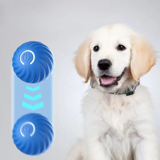 USB Auto-Moving Dog Toy Ball - Jumping Rotating Chew Ball – photo 2