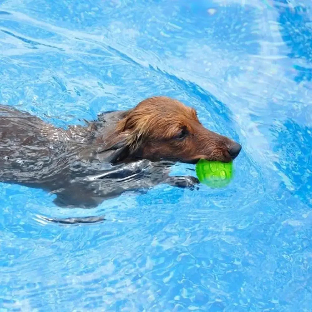 Car-Shaped Squeaky Dog Ball Toy - Anti-Bite Training Toy – photo 6