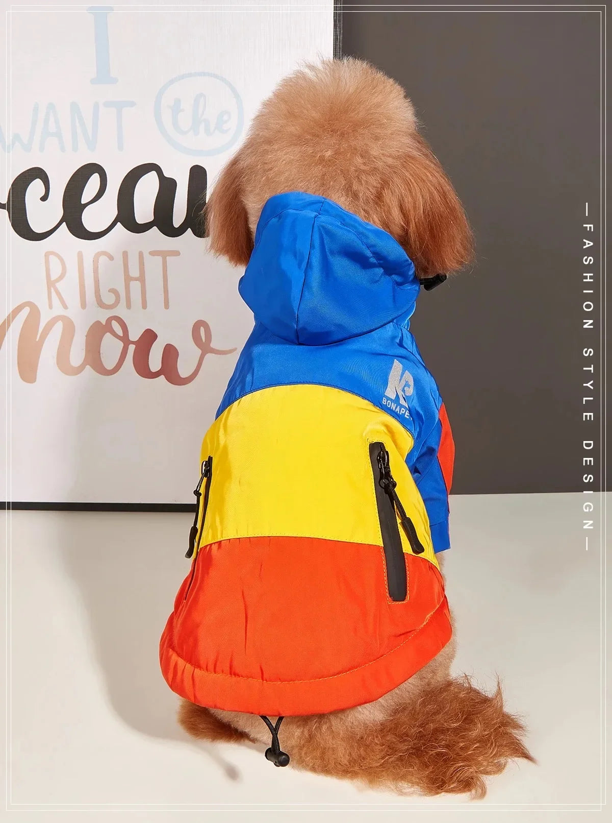 Hooded Dog Raincoat - Sporty Pet Jacket for Dogs and Cats - photo 2