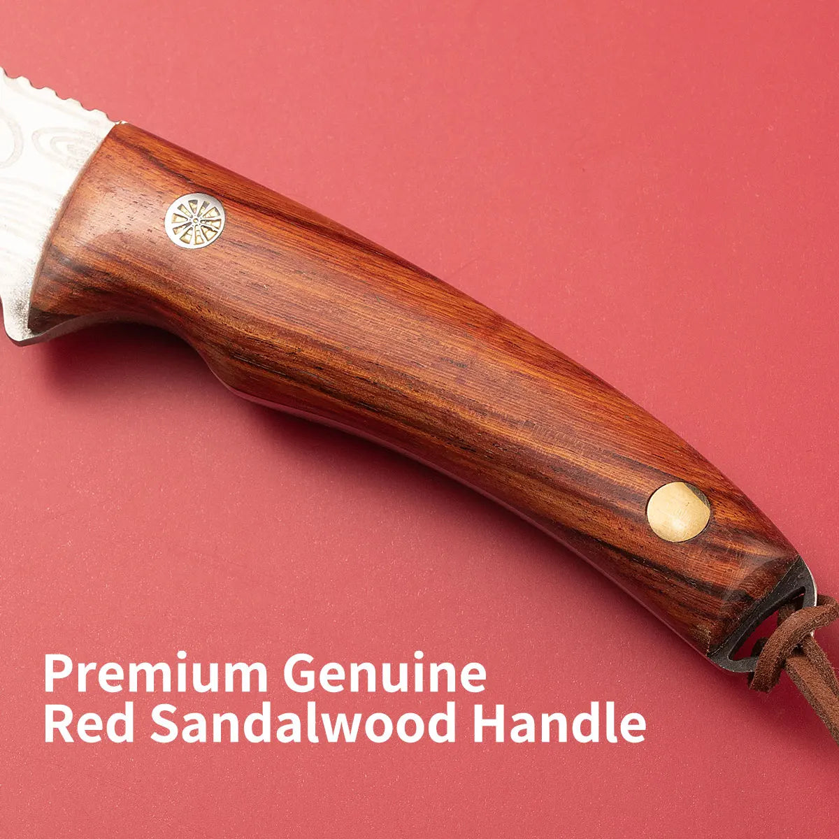 Multifunctional Grafting Knife｜Stainless Steel for Bark/Bud Grafting｜Fruit Tree Handmade Gardening Tool