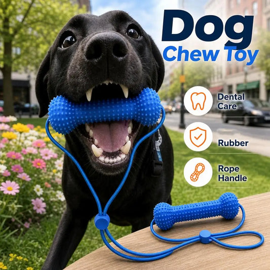 Rope & Chew Stick Dog Toy - Gum Massage Nubs, Quiet Chewing