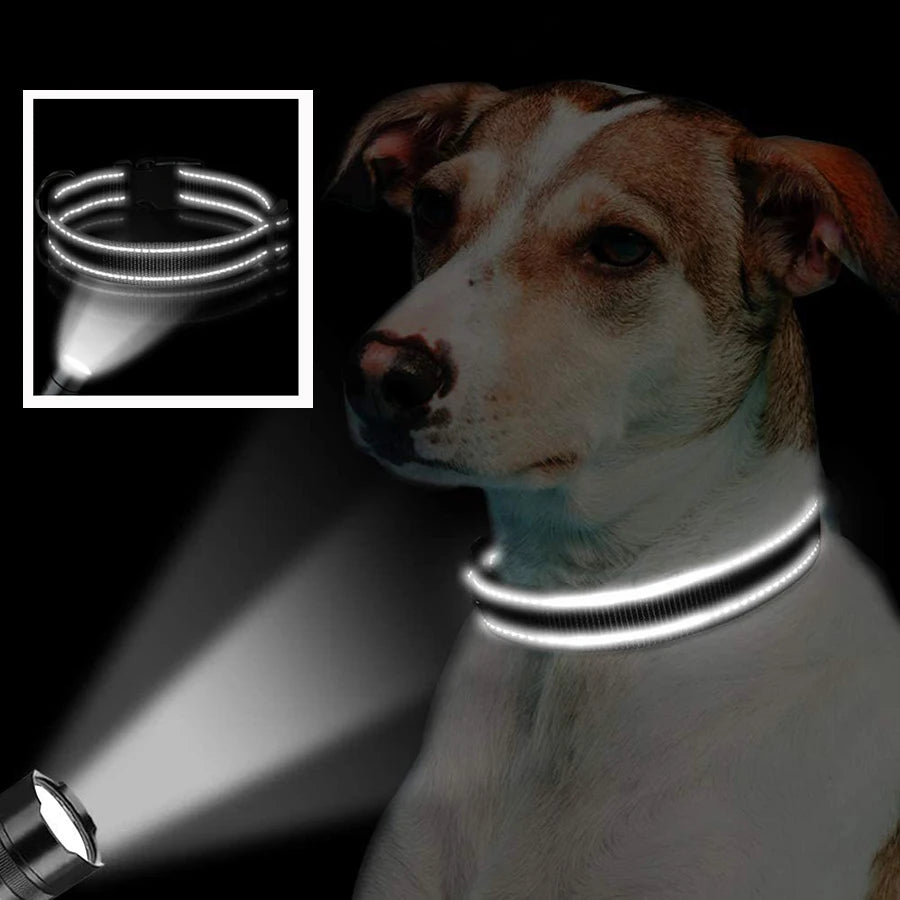 Padded Reflective Puppy Collar - Safety Stripes – photo 3