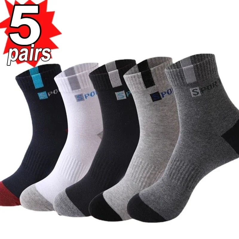 Men's Cotton Blend Crew Socks, 5 or 10 Pairs