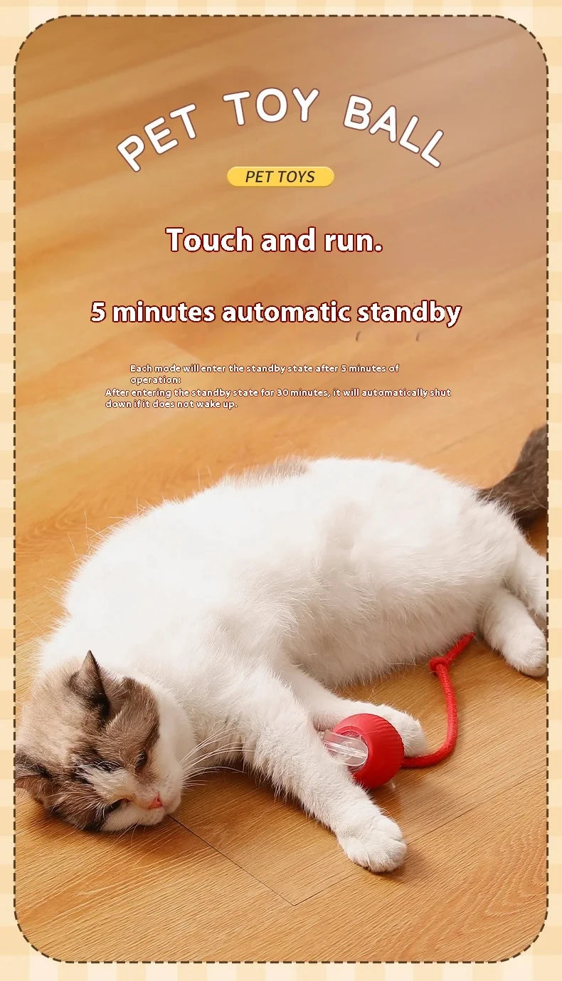 Electric Ball Toys Automatic Rolling Ball Rechargeable Smart Pet Interactive Plush Toy Dog Cat Training Imitate Mouse