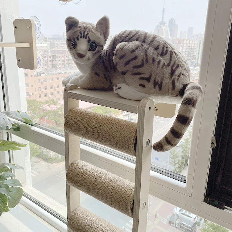 Wooden Cat Wall Shelves & Climbing Frame with Bed – photo 5