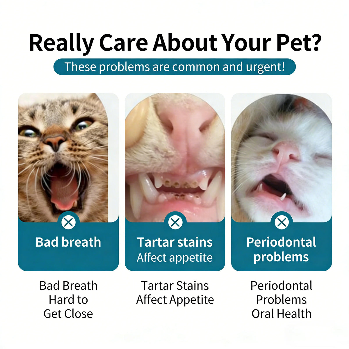 3-Pack Soft Pet Toothbrushes - Small to Large Dogs & Cats – photo 2
