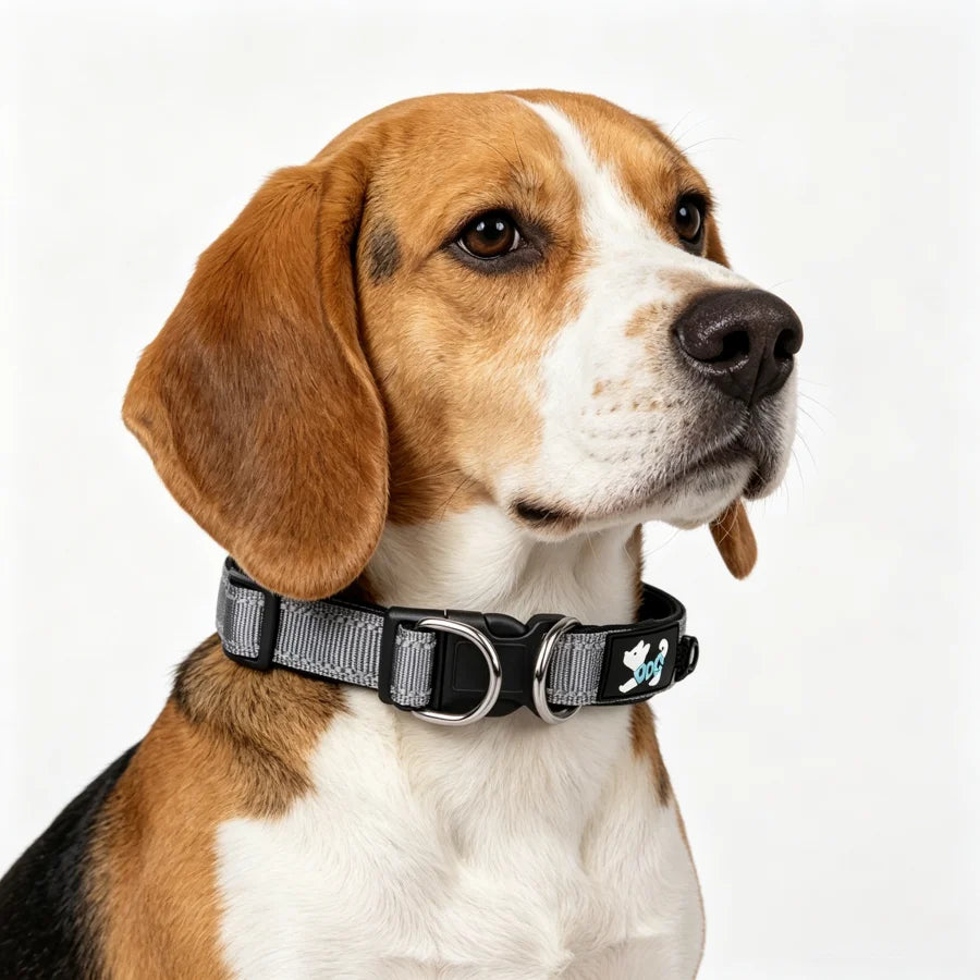 Reflective Harness-Style Collar - Double D-Ring, Lined – photo 3