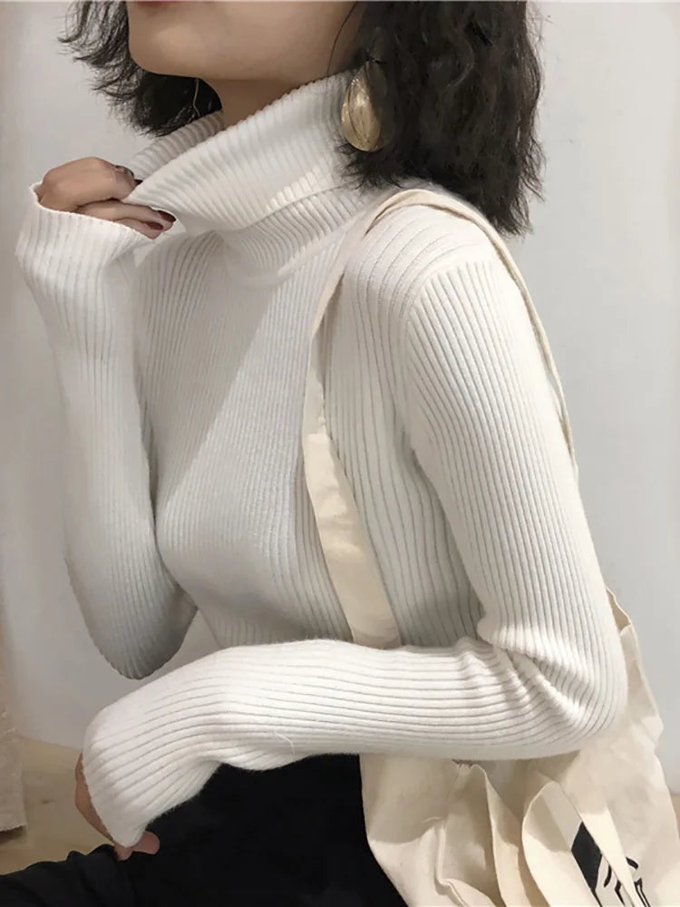 Women's Korean Turtleneck Sweater — Slim Knit Jumper
