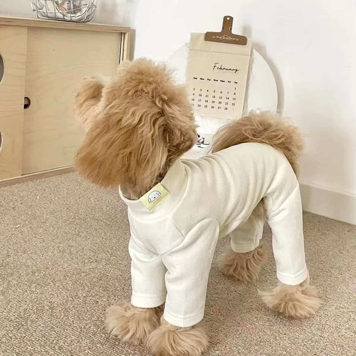 Soft Stretchy Dog Pajamas - Small & Medium Dogs – photo 4