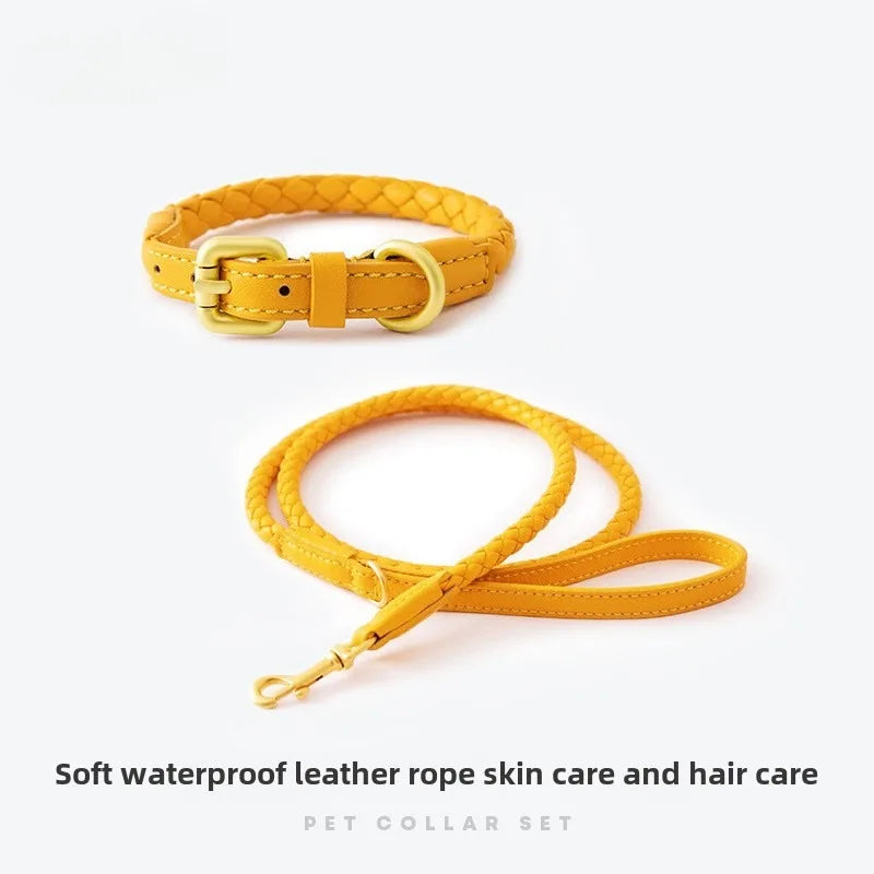 Braided Dog Leash & Collar - Adjustable Walking Rope for Small Dogs