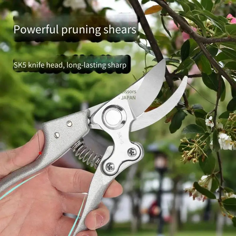 The Professional Gardener's Choice: SK-5 Steel Pruning Shears for Effortless Fruit Tree & Outdoor Trimming