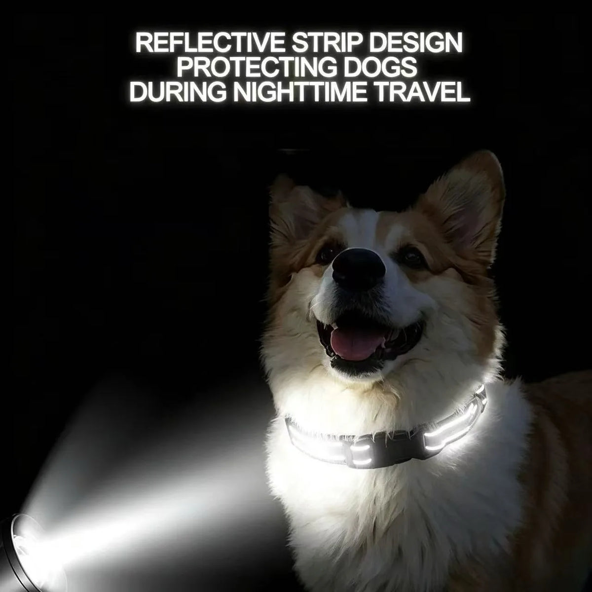 Heavy-Duty Reflective Collar with Double D-Ring – photo 5