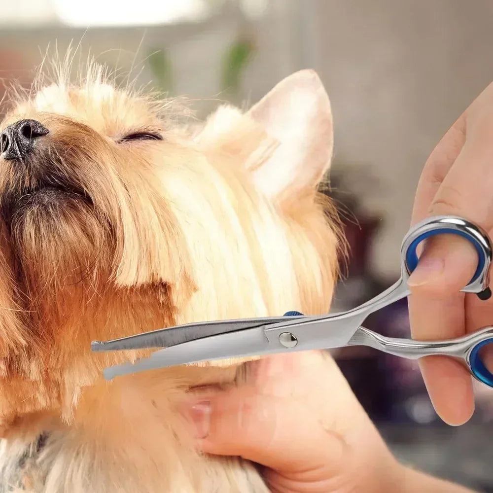 Round-Tip Pet Grooming Scissors - Stainless Steel Shears – photo 2