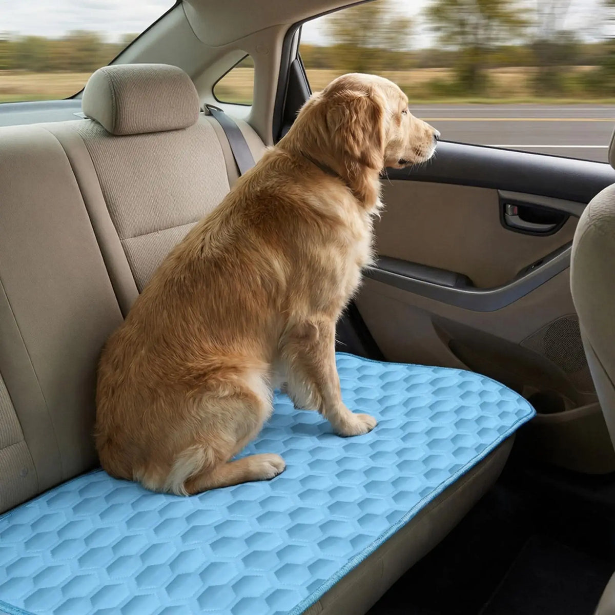 Extra Large Dog Cooling Mat - Summer Ice Pad Blanket – photo 4
