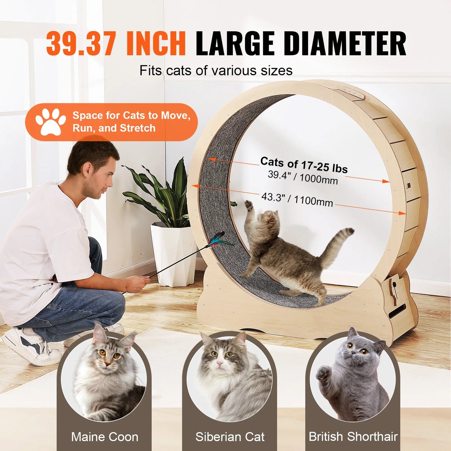 SucceBuy Wooden Cat Exercise Wheel – Large Indoor Cat Treadmill Running Wheel with Carpet & Teaser | 29–52 inch