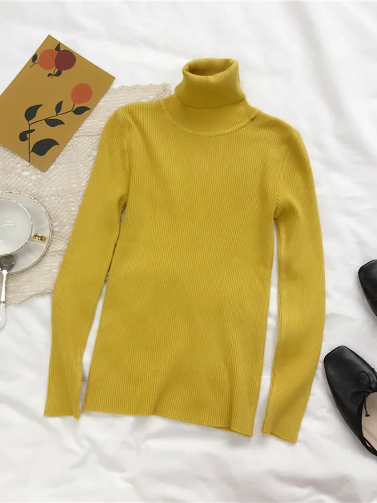 Women's Korean Turtleneck Sweater — Slim Knit Jumper