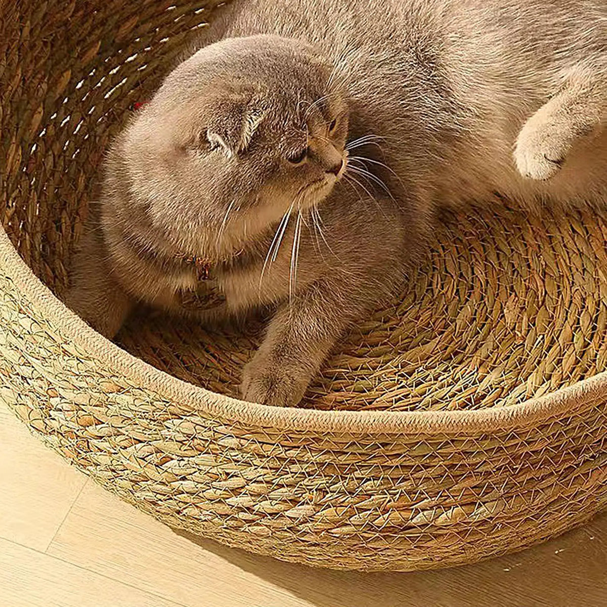 Cat Basket Bed Cotton Rope Woven Cat Bed with Pillow and Cushion All Season Indoor Weaving Pet Resting Scratching Sleeping