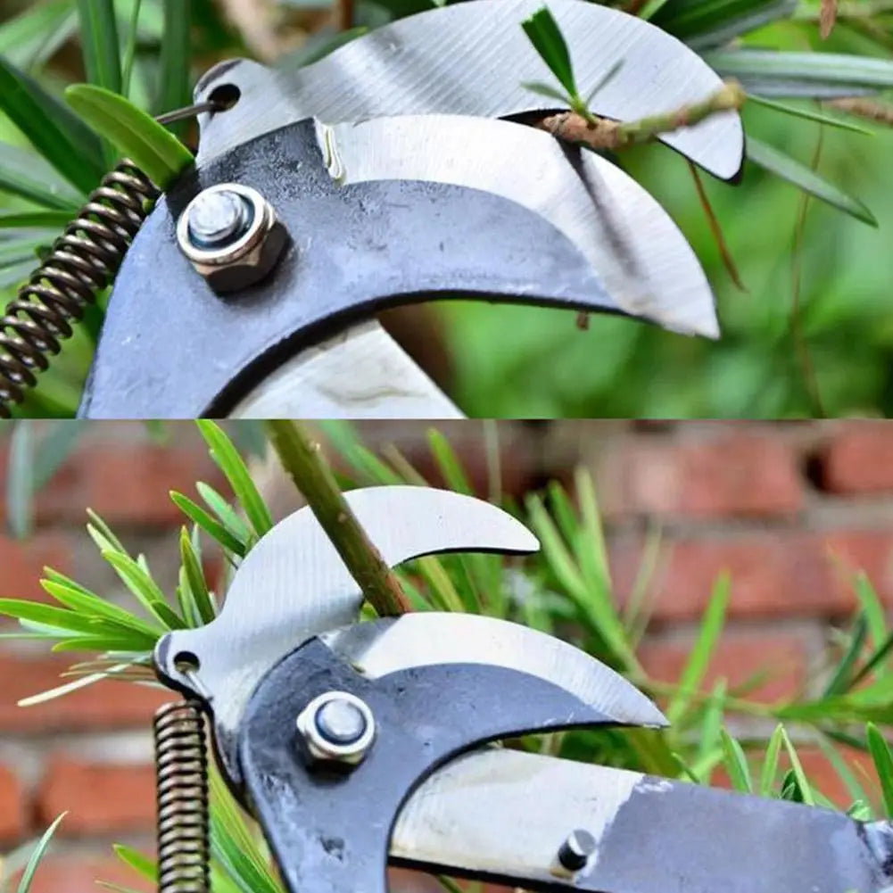 Telescopic High-Branch Pruning Scissors – Labor-Saving Fruit Picker & Shoot Trimmer for Trees